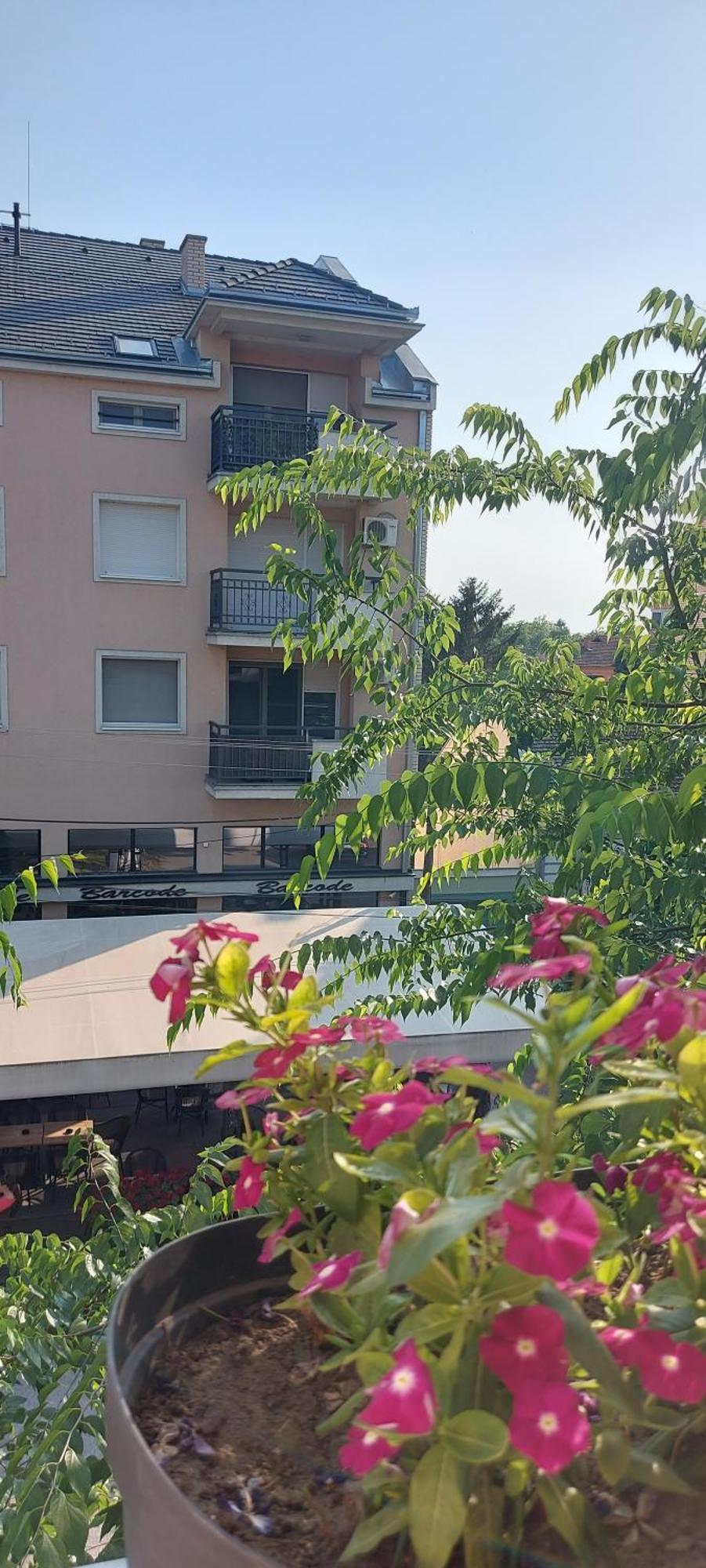 Teanta Apartman ซอมโบร์ ภายนอก รูปภาพ
